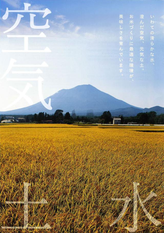 お米 米 岩手県産 銀河のしずく 10kg (5kg×2袋) 白米 令和7年産 北海道・沖縄は　_8