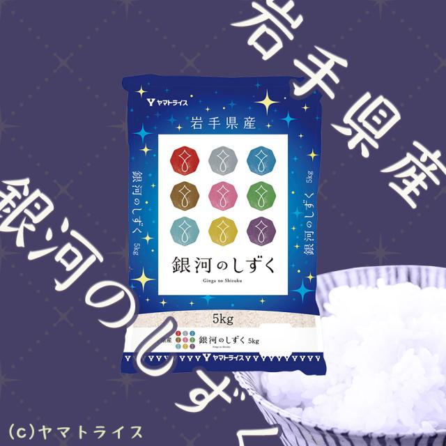 お米 米 岩手県産 銀河のしずく 10kg (5kg×2袋) 白米 令和7年産 北海道・沖縄は　_1