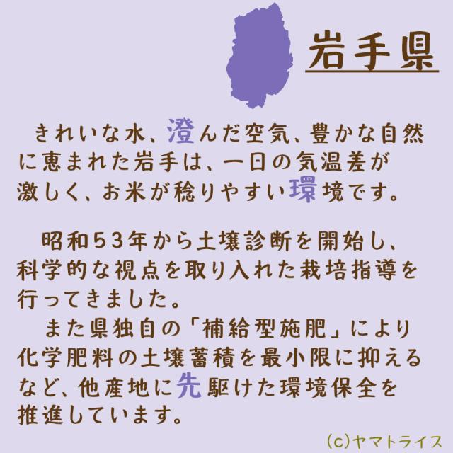 お米 米 岩手県産 銀河のしずく 10kg (5kg×2袋) 白米 令和7年産 北海道・沖縄は　_4