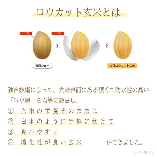 金芽 ロウカット玄米 2kg×2袋 東洋ライス 北海道・沖縄は送料900円の