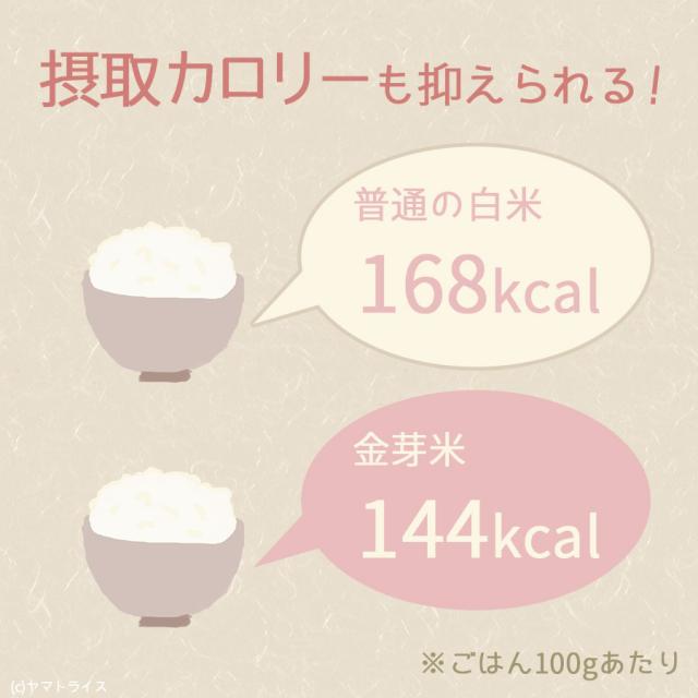お米 米 タニタ食堂の金芽米 18kg (4.5kg×4袋) 無洗米 計量カップ付 令和7年産 窒素充填 北海道・沖縄送料900円_4