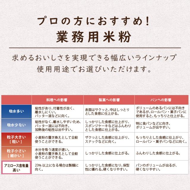 米粉 国産 料理用 製菓製パン お米の粉 R 10kg 送料無料 薄力粉 グルテンフリー 無添加 業務用 波里 namisato