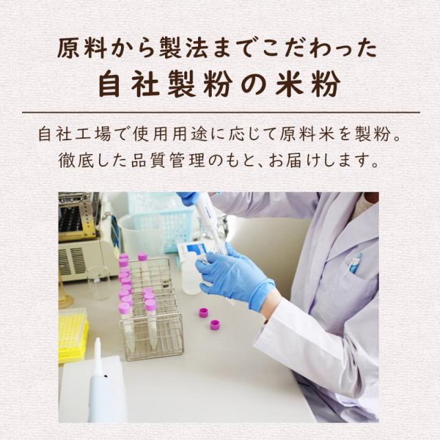 米粉 国産 料理用 製菓製パン お米の粉 R 10kg 送料無料 薄力粉 グルテンフリー 無添加 業務用 波里 namisato