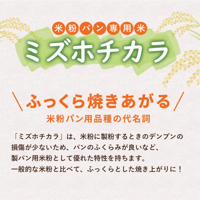 米粉 業務用 ミズホチカラ パン用 お米の粉 V3 20kg 送料無料 グルテンフリー 国産 無添加_2