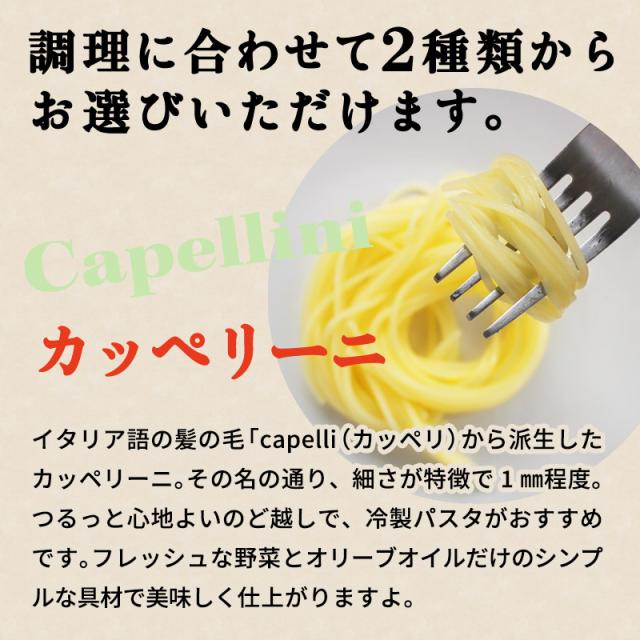 パスタ グルテンフリー お米のパスタ こまち麺パスタ フェットチーネ 