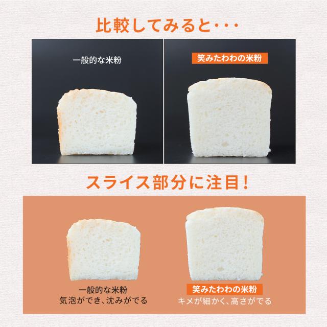 米粉 業務用 パン用 お米の粉 V3 笑みたわわ 20kg 送料無料 グルテンフリー 国産 無添加_3