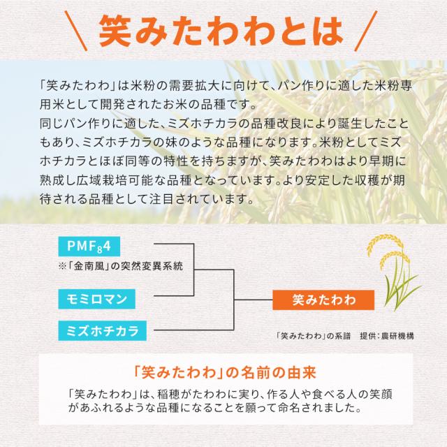 米粉 業務用 パン用 お米の粉 V3 笑みたわわ 20kg 送料無料 グルテンフリー 国産 無添加_6
