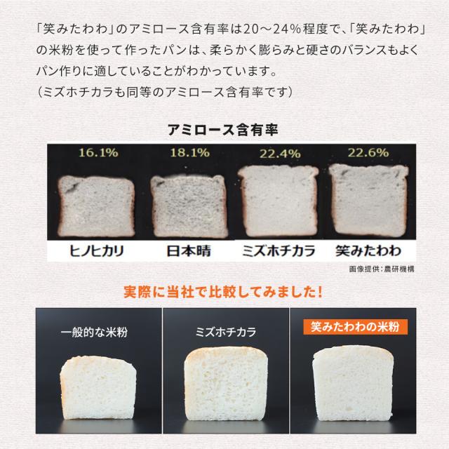 米粉 業務用 パン用 お米の粉 V3 笑みたわわ 20kg 送料無料 グルテンフリー 国産 無添加_8
