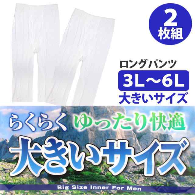 肌着 ステテコ 半 ズボン下 2枚組 メンズ 男性 下着 綿100% 大きい