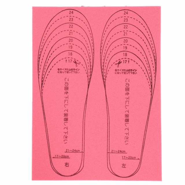 スキーゴー(SKI GO)あったかインソール 23 DN1 つまさきまもるくん入り