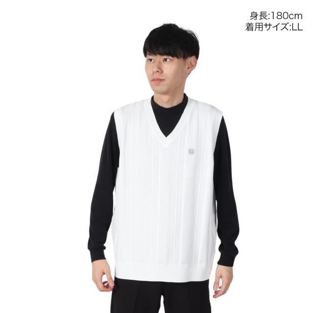 セントアンドリュース(ST.ANDREWS)ゴルフウェア 12G V地柄 Vネック