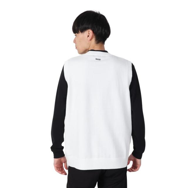 セントアンドリュース(ST.ANDREWS)ゴルフウェア 12G V地柄 Vネック