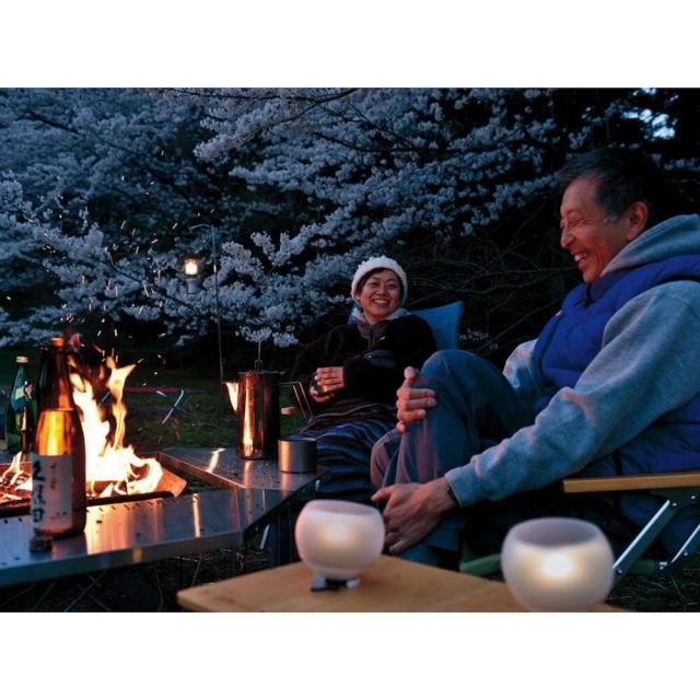 スノーピーク(snow peak)ランタン LEDランタン ほおずき もり ES-070GR