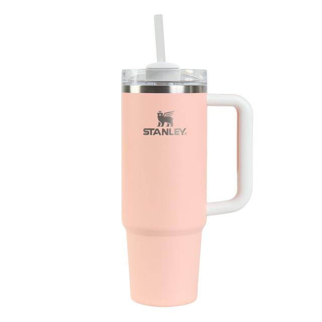 スタンレー(STANLEY)水筒 ボトル マグ H2.0 真空スリムクエンチャー 0.88L ピーチ 10-10827-726