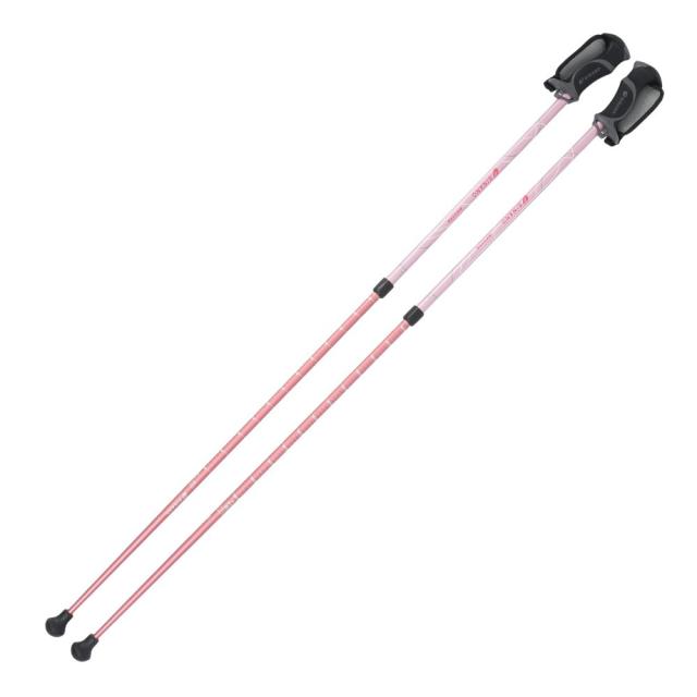 エギングロッド ジークラック 泥棒竿 極月 DORO-GOK-B604H(ベイト・2