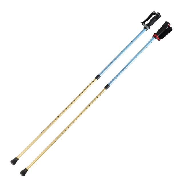 シナノ(SINANO)あんしん2本杖 BLE ブルー ウォーキングポール ステッキ アウトドア 杖 つえ(Men’s、Lady…