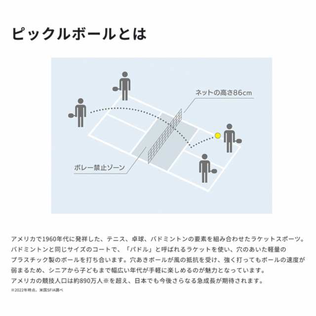 ヨネックス(YONEX)ZONE ピックルボール用パドル PCL-01EZYX-002
