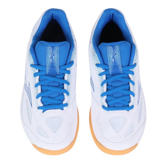 楽天市場】送料無料 ミズノ バドミントンシューズ 3E相当 メンズ