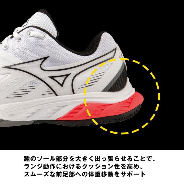 ミズノ(MIZUNO)バドミントンシューズ ウエーブファング 2 71GA231321