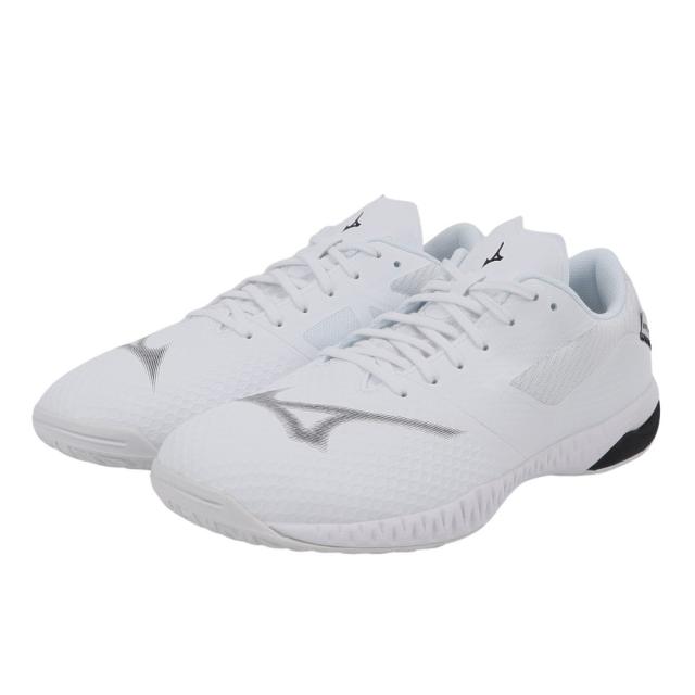 ミズノ(MIZUNO)卓球シューズ WAVE DRIVE EL 2 81GA250101(Men’s、Lady’s)