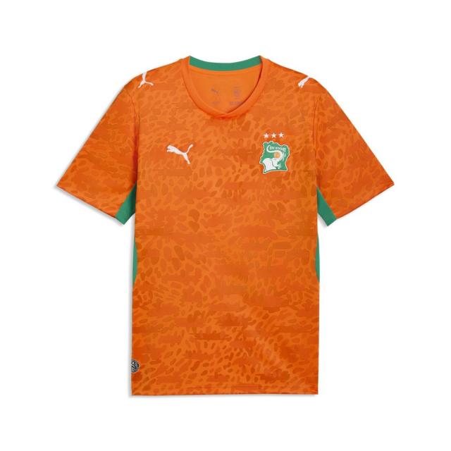 【ポイント15％！】プーマ(PUMA)FIF ホーム レプリカユニフォーム 半袖シャツ 78318201(Men’s)