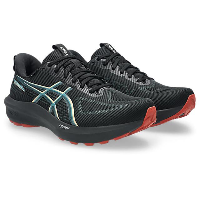 アシックス(ASICS)ランニングシューズ ジョギングシューズ GT-1000 14 ゴアテックス ブラック ブルー 1011…