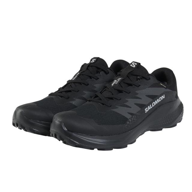 サロモン(SALOMON)ランニングシューズ トレランシューズ ALPHAGLIDE GTX L47802100(Men’s)