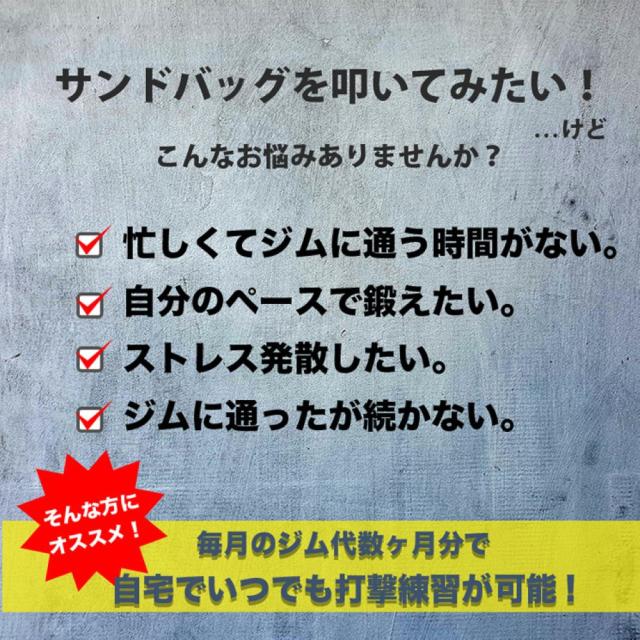 ファイティングロード Co.Ltd(FIGHTING ROAD CO.LTD)サンドバッグ PRO
