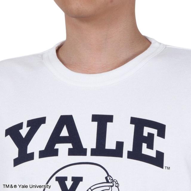 チャンピオン-ヘリテイジ(CHAMPION-HERITAGE)ティーテンイレブン