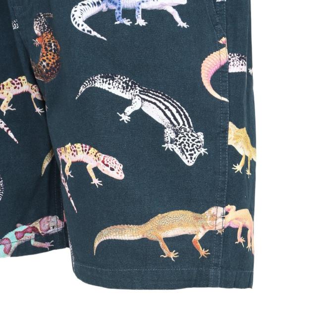 ゴースローキャラバン(GOSLOWCARAVAN)キャンバス総柄ショーツ 340215(Men’s)_6