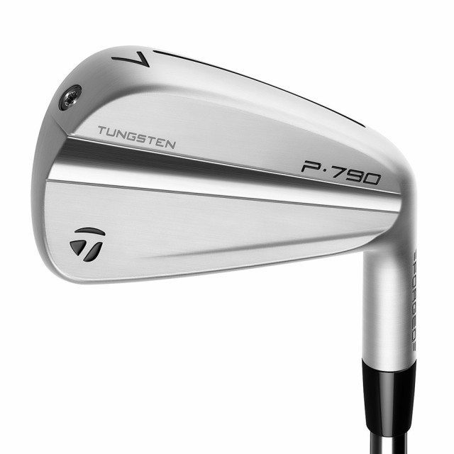 テーラーメイド(TAYLORMADE)P790 アイアンセット 5本(6I〜9I、PW)Dynamic Gold EX TOU…