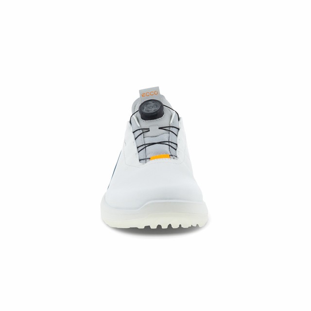 エコー(ecco)ゴルフシューズ BIOM H4 BOA ボア 防水 透湿