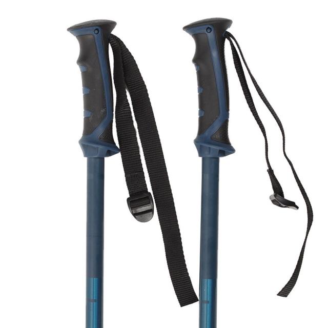 SALOMONスキーストック サロモン(salomon) スキー板 オールラウンド 2