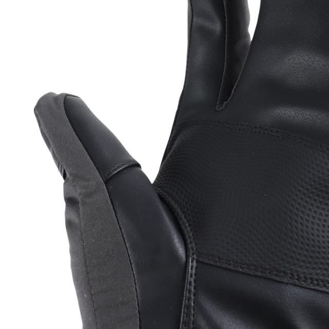 シュトロイレ(STREULE)ミトングローブ スキー スノーボード LUCA