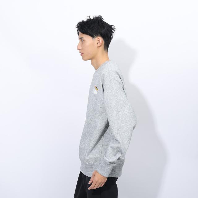 ザ・ノース・フェイス(THE NORTH FACE)トレーナー スウェット