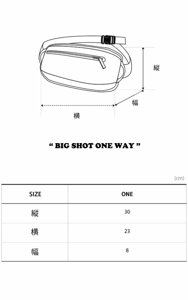 ノースフェイス ボディーバッグ THE NORTH FACE BIG SHOT ONE WAY