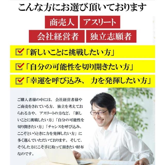 金運 財布 金運財布 ヘビ 革 財布 ゴールド 緑 グリーン 蛇皮財布 蛇革 開運財布 馬蹄 メンズ レディース 風水 長財布 金 運 アップ 開運 金運アップ お金が貯まる 開運グッズ パイソン 錦蛇 にしきへび ニシキヘビ 本革 ラウンドファスナー 2026_2