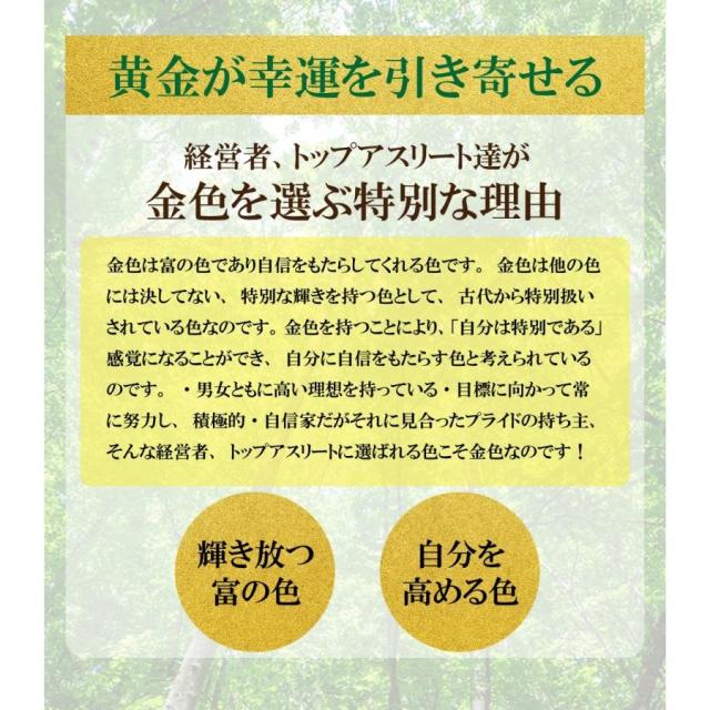 金運 財布 金運財布 ヘビ 革 財布 ゴールド 緑 グリーン 蛇皮財布 蛇革 開運財布 馬蹄 メンズ レディース 風水 長財布 金 運 アップ 開運 金運アップ お金が貯まる 開運グッズ パイソン 錦蛇 にしきへび ニシキヘビ 本革 ラウンドファスナー 2026_5