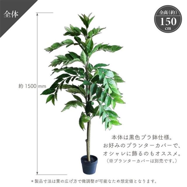 人工観葉植物 アーティフィシャルグリーン コーヒーツリー 全高150cm