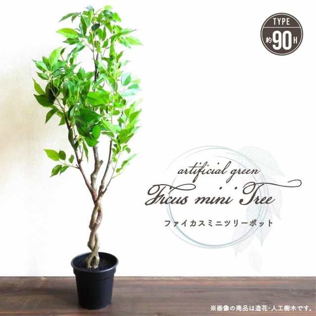 人工観葉植物 アーティフィシャルグリーン ファイカスミニツリーポット 高さ90cmタイプ フィカス 造花 フェイクグリーン インテリアグリーン 鉢物 贈り物の通販は