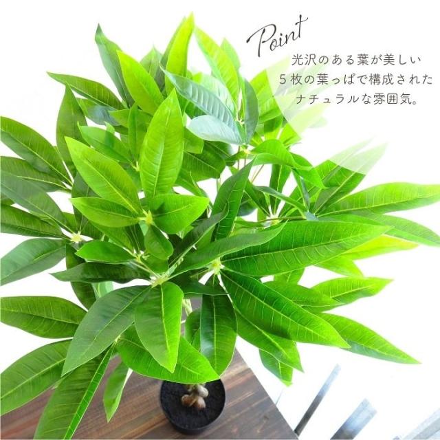人工観葉植物 アーティフィシャルグリーン パキラミニツリーポット 高さ90cmタイプ ねじりパキラ 編込みパキラ 造花 フェイク インテリアグリーン 鉢物 贈り物_4