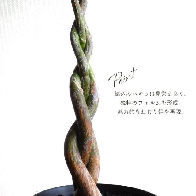 人工観葉植物 アーティフィシャルグリーン パキラミニツリーポット 高さ90cmタイプ ねじりパキラ 編込みパキラ 造花 フェイク インテリアグリーン 鉢物 贈り物_5
