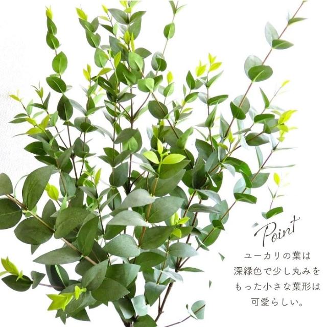 人工観葉植物 アーティフィシャルグリーン ユーカリツリー120 高さ120cm ユーカリ 造花 フェイクグリーン インテリアグリーン 鉢物 観葉植物 贈り物 インテリア_2