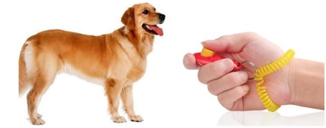 犬 クリッカー しつけ クリッカートレーニング 犬笛 無駄吠え防止 躾 訓練 クリック音 犬 猫 インコ ペットの通販はau Pay マーケット Isozaki Store