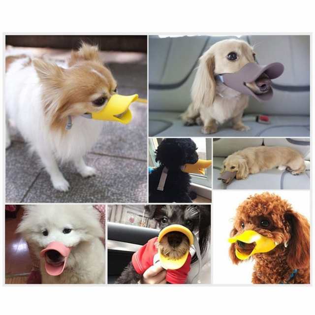 送料140円 犬 口輪 小型犬 中型犬 大型犬 犬無駄吠え防止器具 しつけ用品 キズ舐め止め アヒル口の形マスク ペット用マスク マの通販はau Pay マーケット Isozaki Store