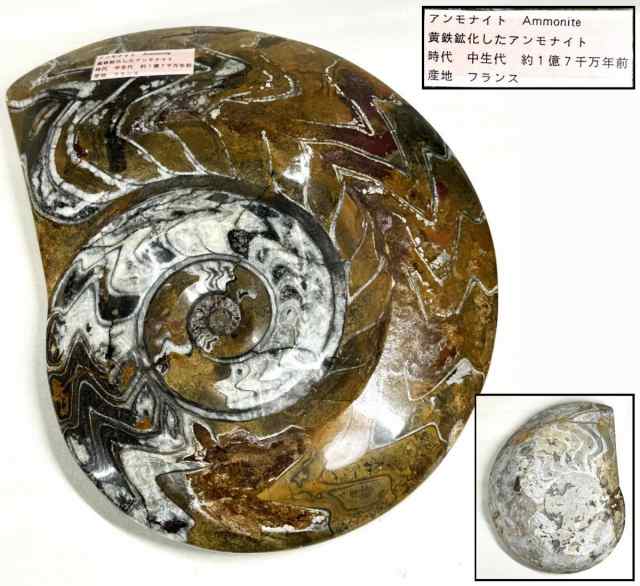 買う天然 寿山石 Shoushan stone 高山石 高山黄 手彫り 印材 未使用 旧蔵 福建省原石 置物 稀少 唐物古玩 印鑑 篆刻 WWFT035 印材