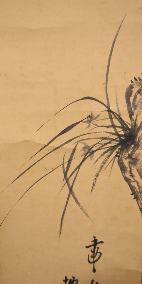 送料無料】雲華 蘭之図 水墨 手巻き画絵巻 在銘 紙本 肉筆 立軸 年代  