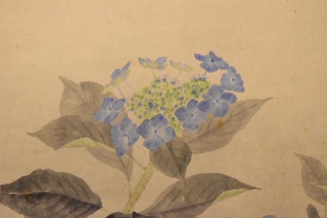 【送料無料】柴田光子 紫陽花 手巻き画絵巻 共箱 在銘 紙本 肉筆 立軸 年代保証 書法 掛け軸 古美術 茶掛 古玩 文化財収集 威龍彩雲通販_5
