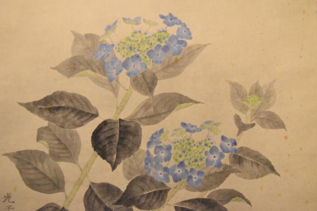【送料無料】柴田光子 紫陽花 手巻き画絵巻 共箱 在銘 紙本 肉筆 立軸 年代保証 書法 掛け軸 古美術 茶掛 古玩 文化財収集 威龍彩雲通販_6