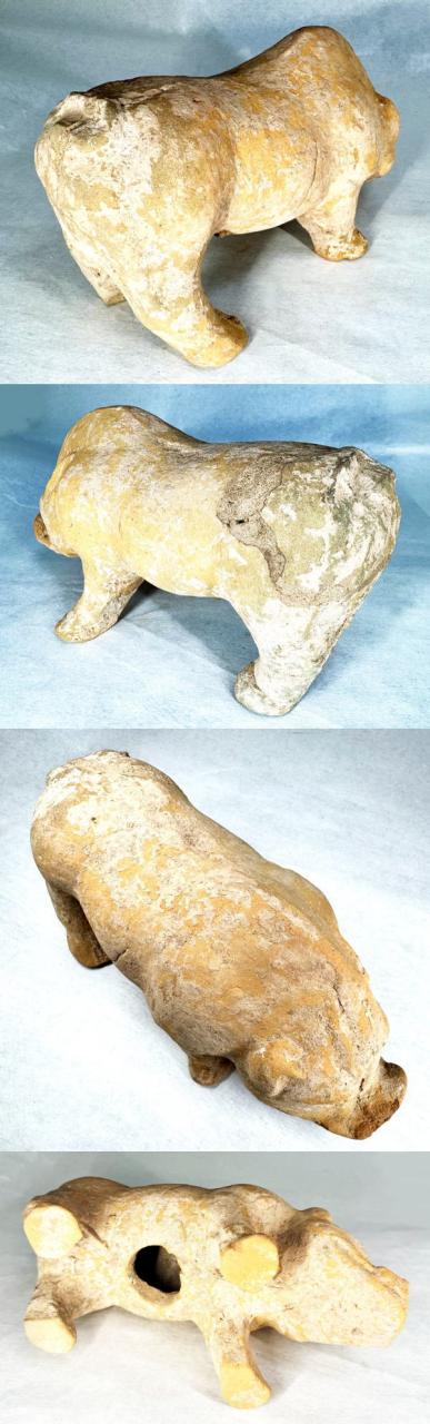 天然深海赤珊瑚 枝珊瑚置物 台座付きジュエリー宝石原木 オブジェ骨董 楽天市場】【送料無料】天然深海赤珊瑚 サンゴ枝珊瑚 置物 台座 ケース